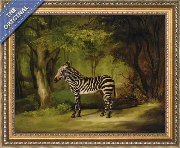 Finished reproduction of A Zebra, 1763